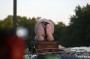Thumbs/tn_IKW Wanroij 2023 015.jpg